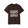 Only The Best Parents Get Promoted To Grandparents T-Shirt